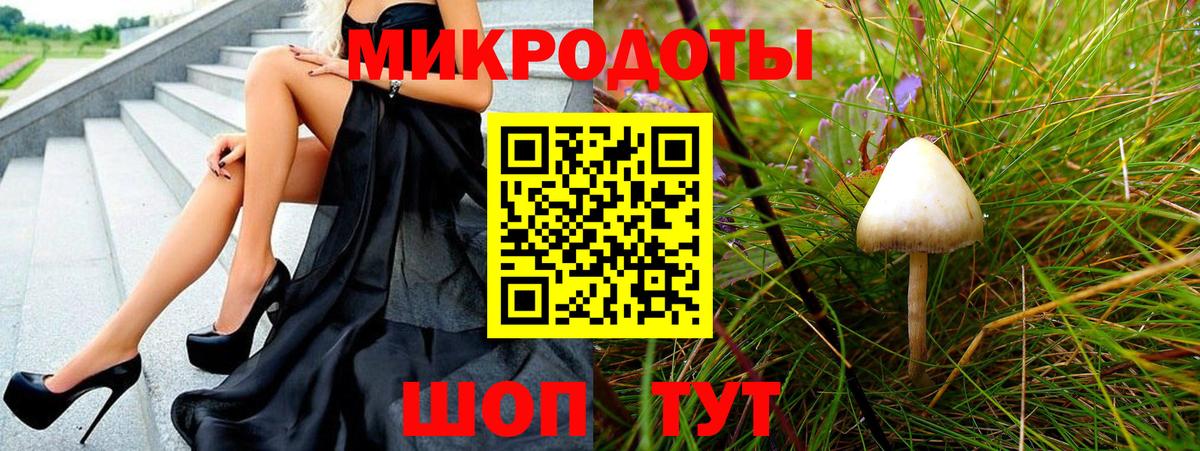 Псилоцибиновые грибы Psilocybine cubensis Саянск