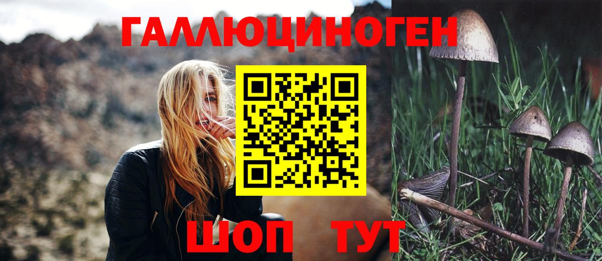 Галлюциногенные грибы Psilocybe  Вход с VPN  Галлюциногенные грибы Magic Shrooms  цены наркотик  Саянск 